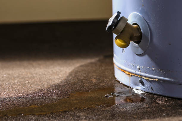 Best 24/7 water damage repair  in Orcdlands Estates, HI