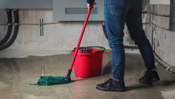 Best Residential water damage restoration  in Orcdlands Estates, HI