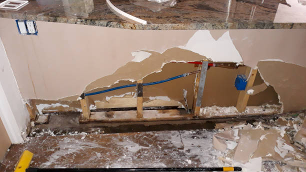 Reliable Orchidlands Estates, HI Water damage restoration Solutions