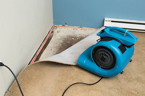 Best Ceiling water damage repair  in Orcdlands Estates, HI